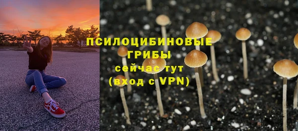 гидропоника Беломорск