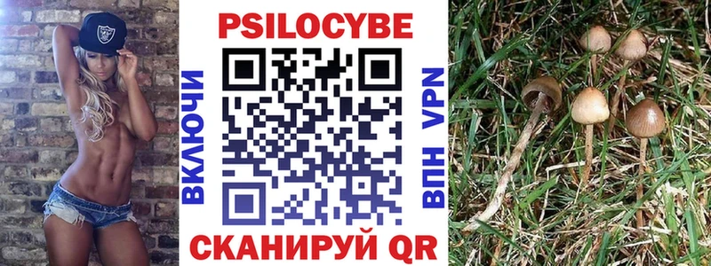 МЕГА зеркало  Жуков  Псилоцибиновые грибы GOLDEN TEACHER  цена  